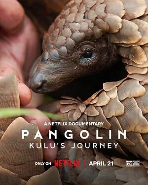 Pangolin: Kulu’s Journey 2025 Hindi Dual Audio WEB-DL 720p - 480p - 1080p Pangolin: Kulu’s Journey 2025 Hindi Dual Audio WEB-DL 720p - 480p - 1080p