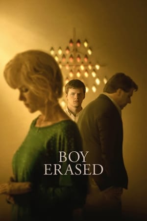 Boy Erased (2018) Hindi Dual Audio 480p BluRay 380MB Boy Erased (2018) Hindi Dual Audio 480p BluRay 380MB