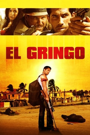 El Gringo (2012) Hindi Dual Audio 480p HDRip 300MB El Gringo (2012) Hindi Dual Audio 480p HDRip 300MB