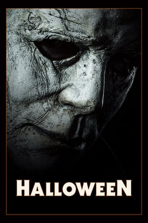 Halloween (2018) Hindi Dual Audio 480p BluRay 330MB Halloween (2018) Hindi Dual Audio 480p BluRay 330MB