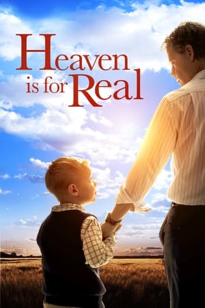 Heaven Is for Real (2014) Hindi Dual Audio 480p BluRay 300MB Heaven Is for Real (2014) Hindi Dual Audio 480p BluRay 300MB