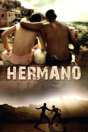 Hermano 2010 Hindi Dual Audio 480p BluRay 300MB Hermano 2010 Hindi Dual Audio 480p BluRay 300MB