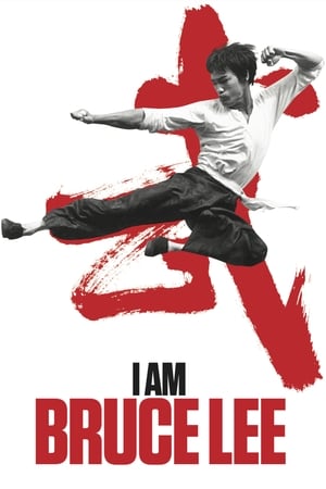I Am Bruce Lee 2012 300MB Hindi Dual Audio Bluray 480p I Am Bruce Lee 2012 300MB Hindi Dual Audio Bluray 480p