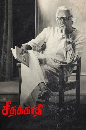 Seethakaathi (2018) Hindi Dubbed 480p HDRip 400MB Seethakaathi (2018) Hindi Dubbed 480p HDRip 400MB