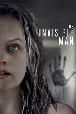 The Invisible Man (2020) Hindi (ORG) Dual Audio 480p BluRay 400MB The Invisible Man (2020) Hindi (ORG) Dual Audio 480p BluRay 400MB
